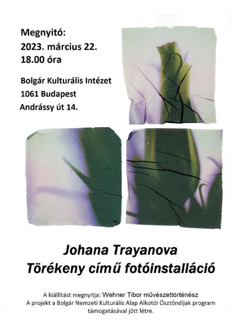 Крехки — Фотографска инсталация на Йохана Траянова